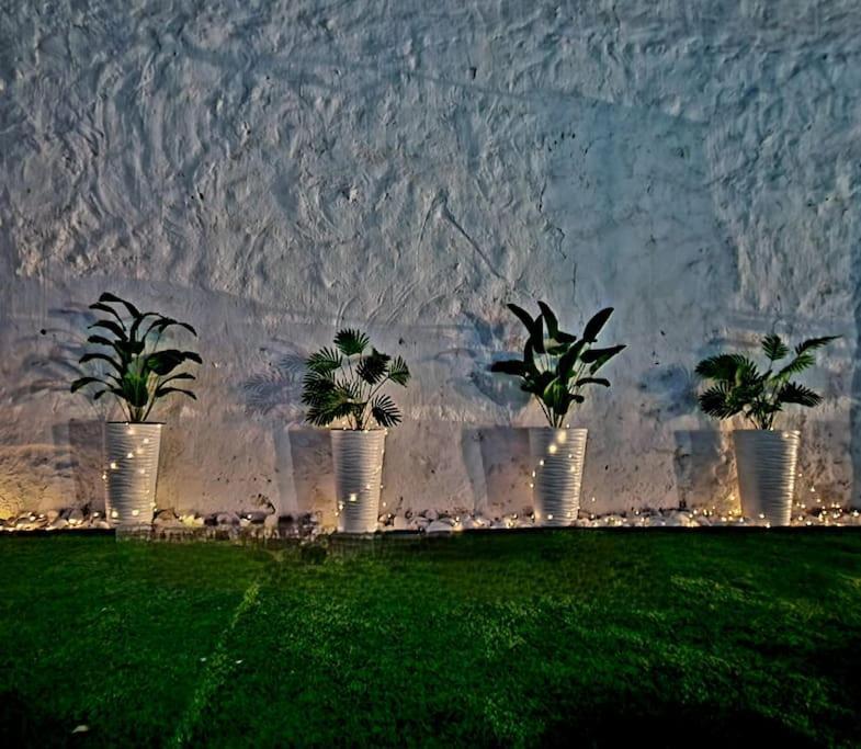 Вілла La Casa Del Arbol Fuentiduena de Tajo Екстер'єр фото
