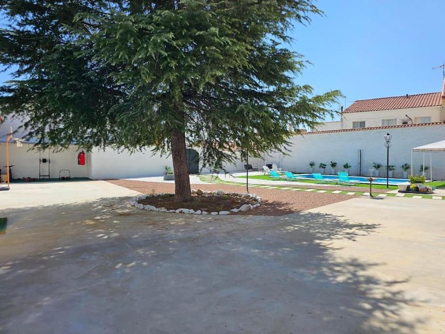 Вілла La Casa Del Arbol Fuentiduena de Tajo Екстер'єр фото